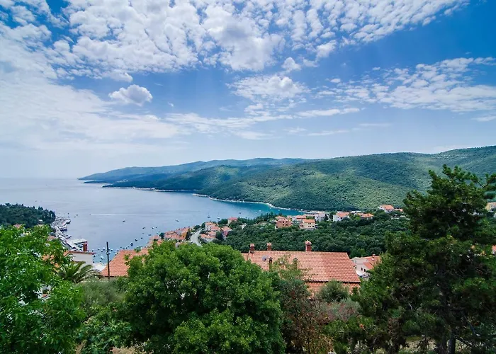 Seaview Bojan ראבץ